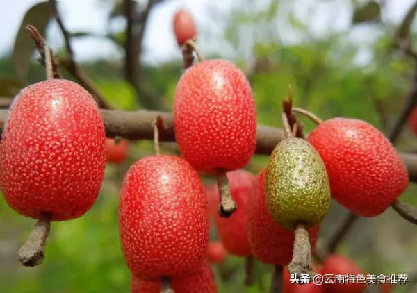 雲南特色美食之水果蘸辣椒 雲南特色美食之水果蘸辣椒