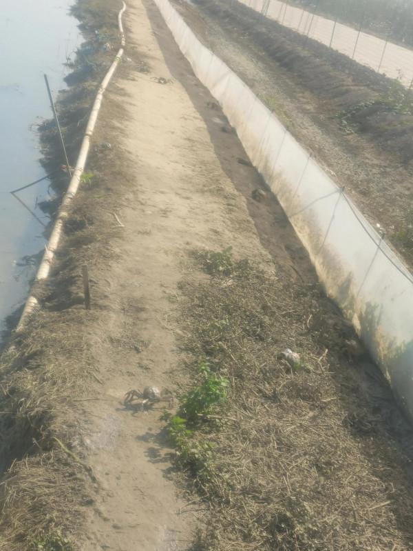 散散心~興化兩日自駕遊 散散心~興化兩日自駕遊