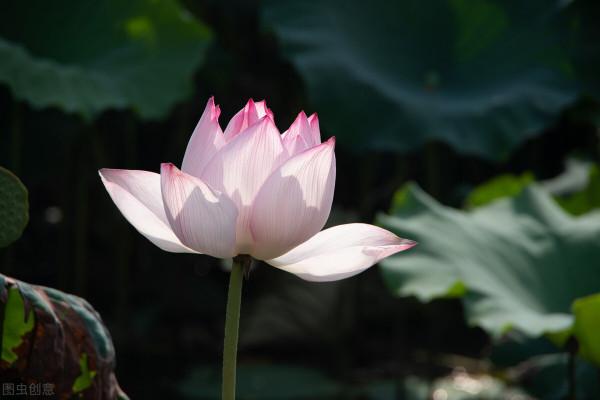 人過六十，你走過的每一步路都是歸途