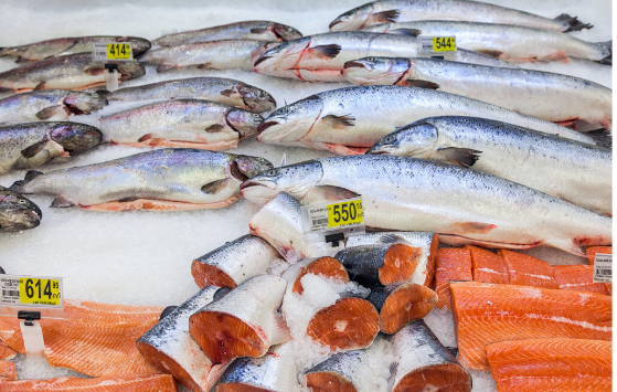 買魚時,懂行的人專買“這5種海魚”,無法人工養殖,看完長知識 買魚時,懂行的人專買“這5種海魚”,無法人工養殖,看完長知識