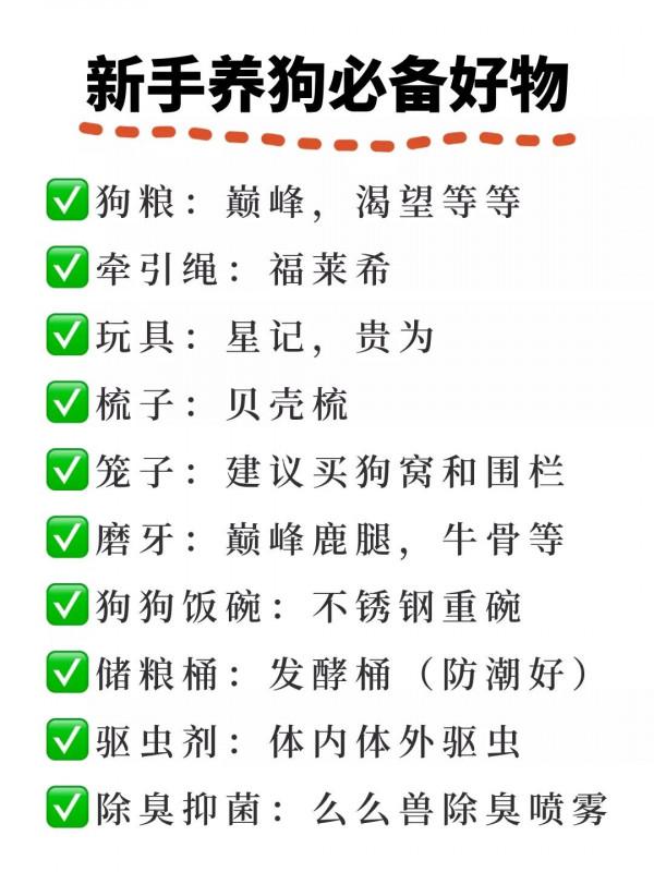 新手養狗智商稅別交了！尤其是這些還可能危害的狗狗