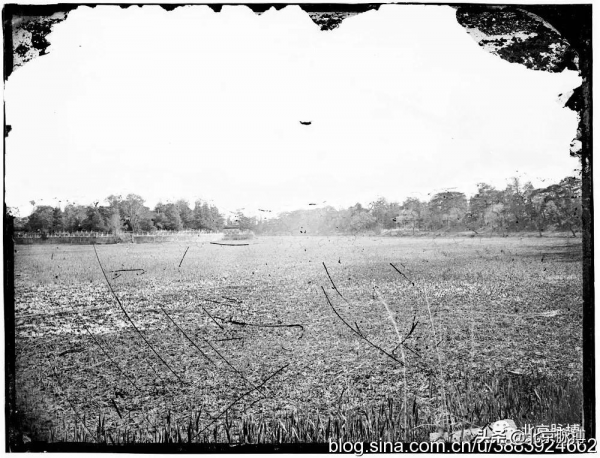 畫說北京丨晚清圓明園老底片