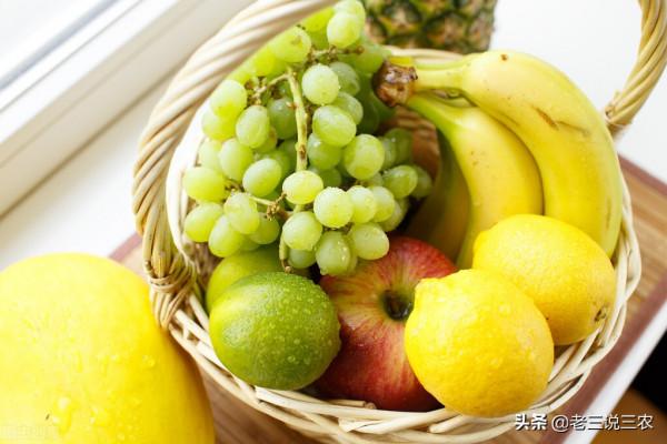 只要一碗淘米水，不花一分錢！黃瓜，西瓜結得多，吃不完，都羨慕