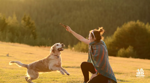 真正高情商的人，都會說這三句話