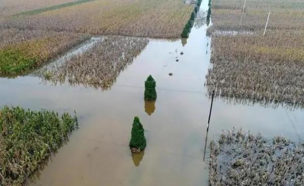 《雨秋》小小說