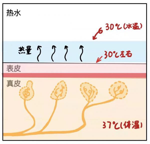 為什麼 30 ℃ 的洗澡水很冷,30 ℃ 的暖氣卻很熱? 為什麼 30 ℃ 的洗澡水很冷,30 ℃ 的暖氣卻很熱?