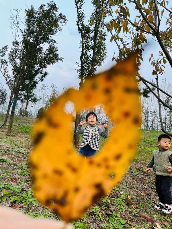 週末帶著孩子們一起尋找秋天 週末帶著孩子們一起尋找秋天