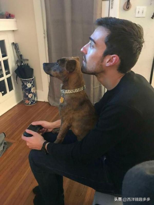 這些愛爭寵的寵物,滿滿的都是戲 這些愛爭寵的寵物,滿滿的都是戲