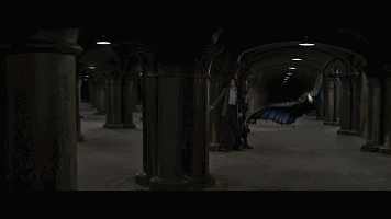 哈利波特手遊:新賽季卡組調整解析,冷門卡火蛇與竊法加強起飛 哈利波特手遊:新賽季卡組調整解析,冷門卡火蛇與竊法加強起飛