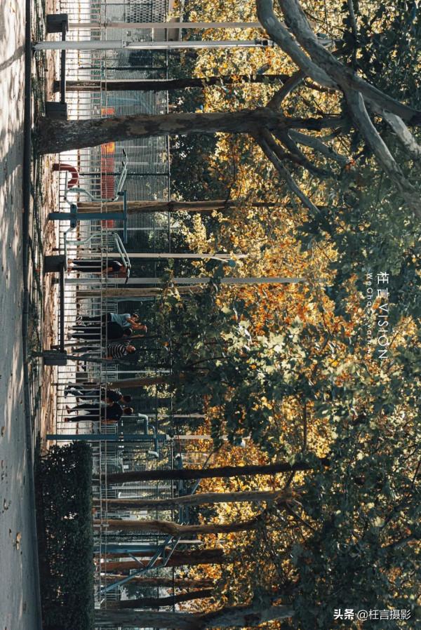 深秋在哪裡 深秋在哪裡