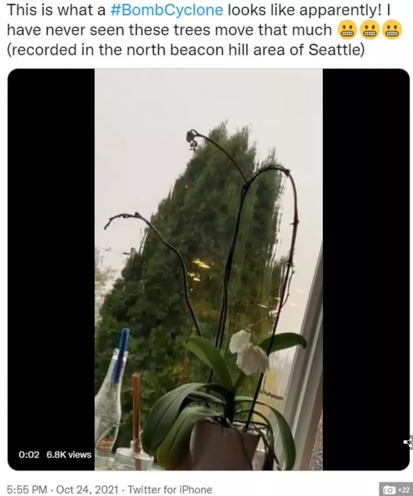 加州網友：終於等到下雨啦！乾旱的加州，一次性被罕見“炸彈氣旋”澆透了