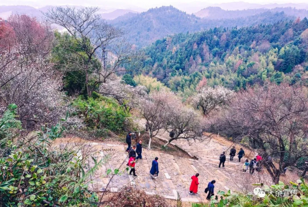 【元旦假期】大餘旅遊：“安”然開場 持續升“溫”！