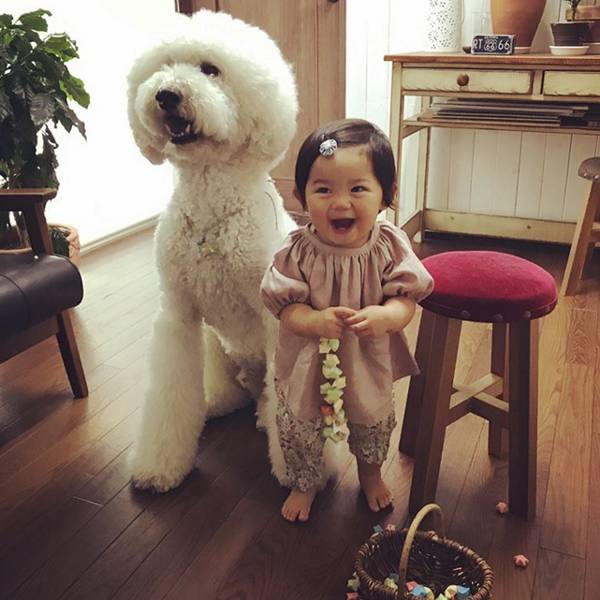 日本奶奶分享小孫女和三隻大狗狗的日常，治癒了56萬+網友…