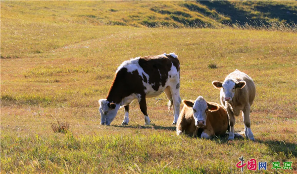 在怪山體驗,秋天的正確開啟方式 在怪山體驗,秋天的正確開啟方式