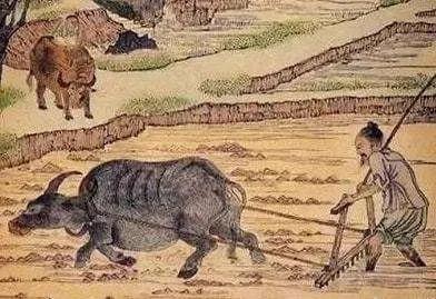 民間故事：農人被毒蛇咬傷，醫院無力迴天，蛇醫：去買瓶墨水