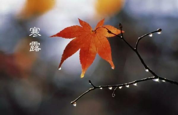 〔七律〕暮秋感懷 〔七律〕暮秋感懷