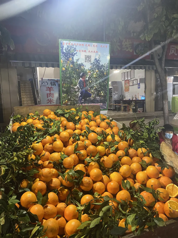 雲南紅河蒙自，大樹寨夜市