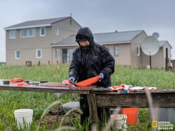 來阿拉斯加圓島,聽海象歌唱 來阿拉斯加圓島,聽海象歌唱