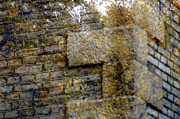 小雪節氣陶醉在迷人的銀杏黃中