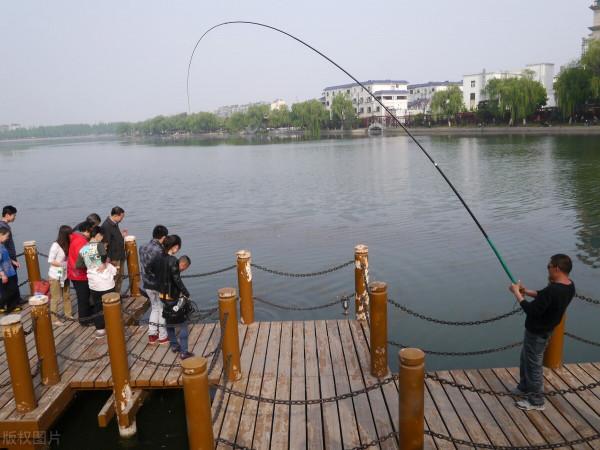 為什麼一上大魚你就跑魚？