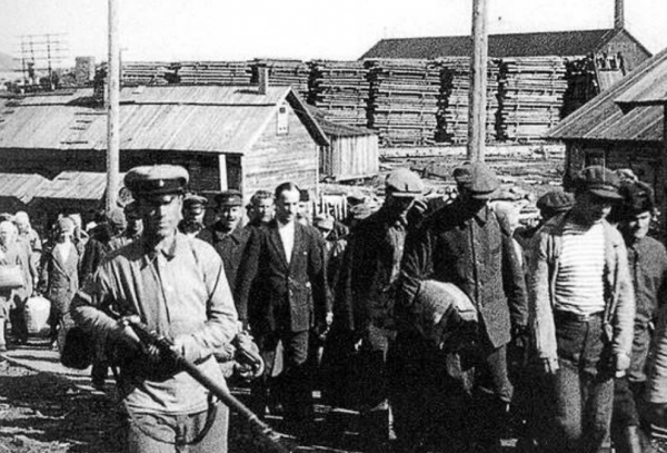 禍國殃民的俄羅斯老炮兒,關進古拉格也不消停,搖身一變成律賊 禍國殃民的俄羅斯老炮兒,關進古拉格也不消停,搖身一變成律賊