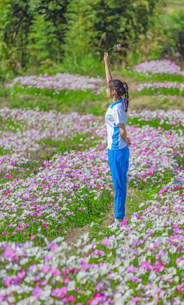 2021年最後一波!格桑花海來襲,古田花海歡樂谷8大歡樂專案等你來打卡!! 2021年最後一波!格桑花海來襲,古田花海歡樂谷8大歡樂專案等你來打卡!!