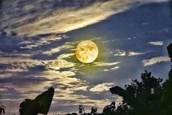 現代詩：《窈窕一輪中秋月》