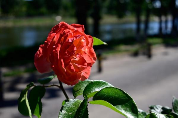 並不一定都是亂花錢，盤點這幾年買了之後漲價的數碼產品