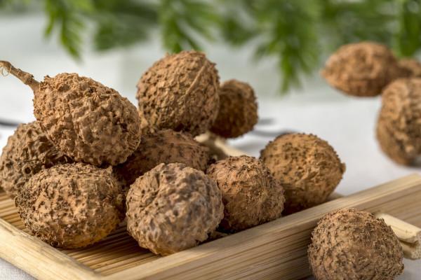 元代名方:封髓丹,三味中藥,能調虛火上衝,可治糖尿病,脂肪肝 元代名方:封髓丹,三味中藥,能調虛火上衝,可治糖尿病,脂肪肝