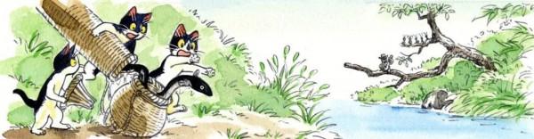 貓貓的一天，煮飯釣魚還有種菜？