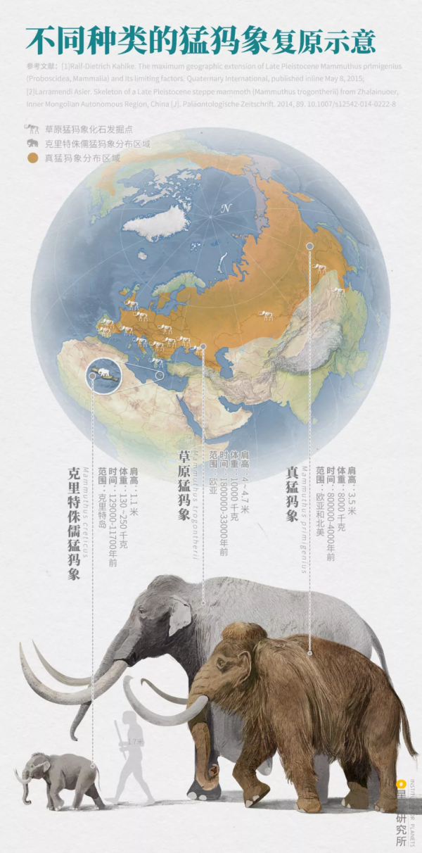 2021年度動物，是誰？