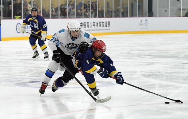 中俄元首&OpenCurlyDoubleQuote;冬奧之約&rdquo;開啟兩國關係新篇章