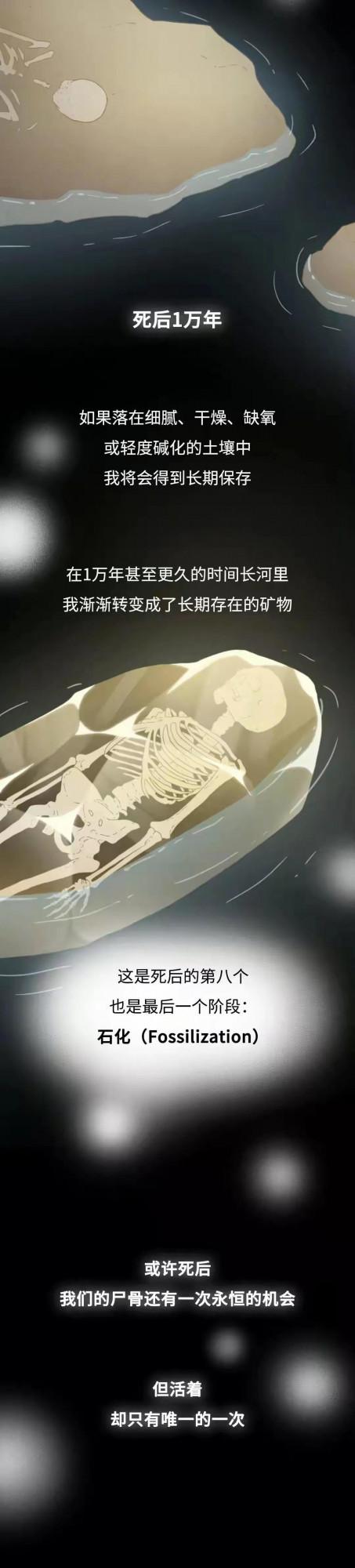 人死後1萬年，屍體會發生哪些變化？漫畫解答，建議提前瞭解下