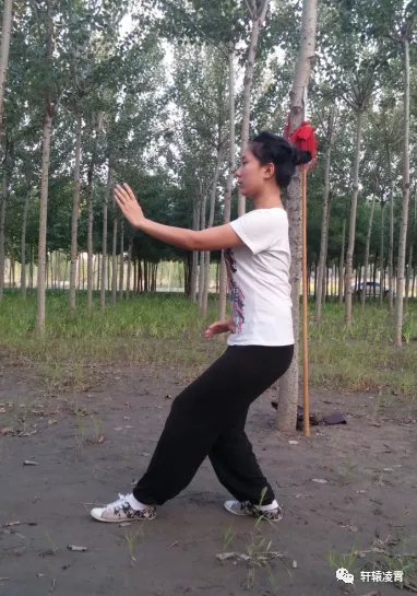 軒轅談形意五行拳例項 軒轅談形意五行拳例項