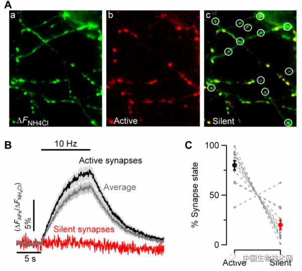 “996”的你好歹還有休息的時候，而大腦，是真正的007...