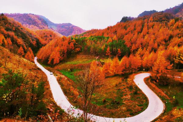 四川藏了個人間秘境，被贊“溶洞王國”，遊客們都“慕名而來”