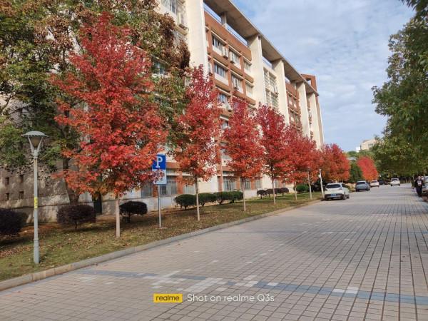 日用拍照全覆蓋,realmeQ3s評測相機篇 日用拍照全覆蓋,realmeQ3s評測相機篇