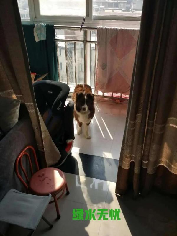 米莎，真的相忘於江湖嗎？