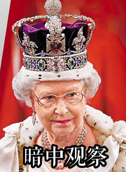 哈利波特手遊嗅嗅都被玩家玩壞了！網友：一看就知道是獾院養的