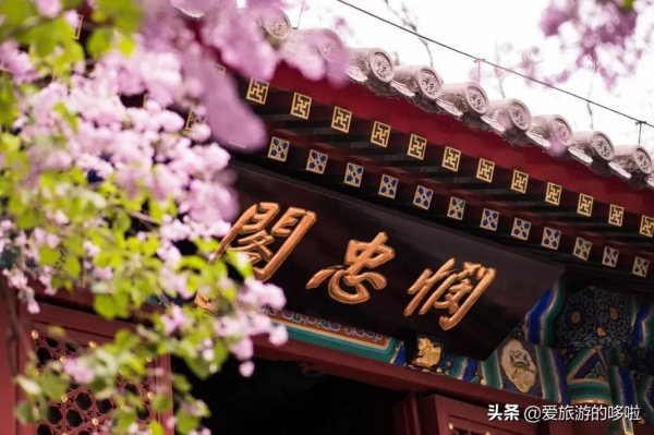 看展喝咖啡、賞壁畫、聽古樂…這座城市的寺廟也太厲害了吧