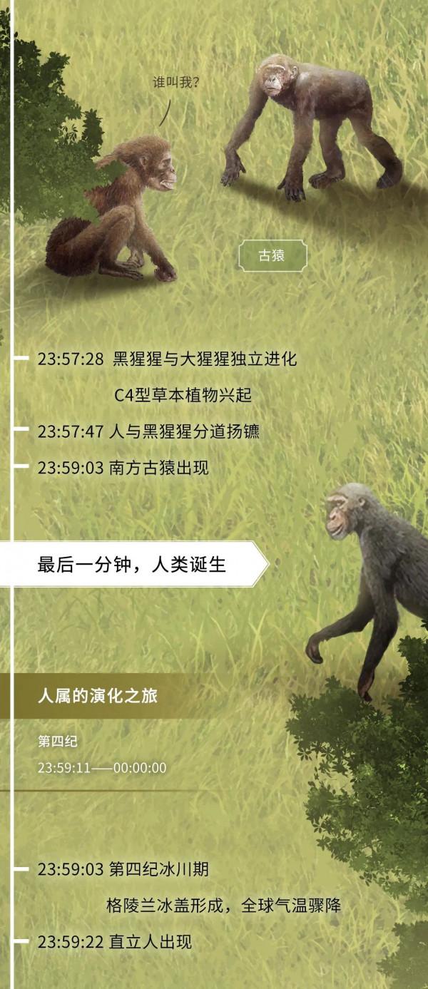 科普丨如果把地球歷史壓縮成24小時會怎麼樣？（硬核版）