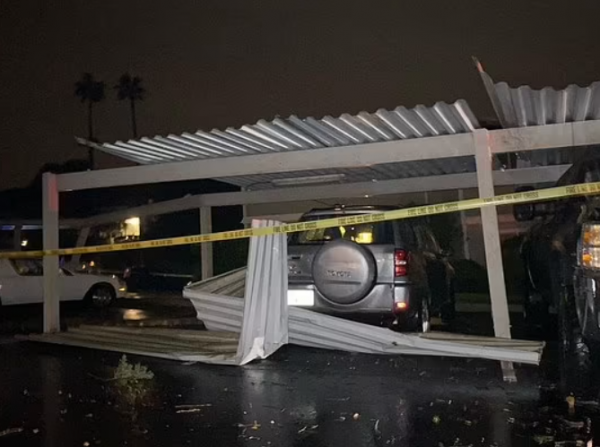 美國加州遭遇罕見龍捲風：持續一分鐘，大樹被連根拔出