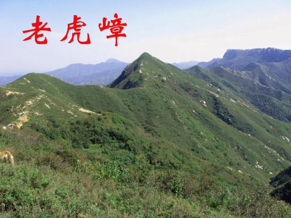 我的驢行日記——淺井逍遙觀