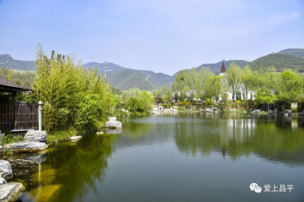 昌平夏末美景專屬地！藍天白雲，水鳥倒映，花田拍照......美不勝收！