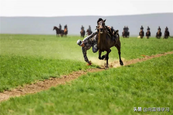 超乎你想象!和兵哥哥一起盤點北疆的“小可愛” 超乎你想象!和兵哥哥一起盤點北疆的“小可愛”