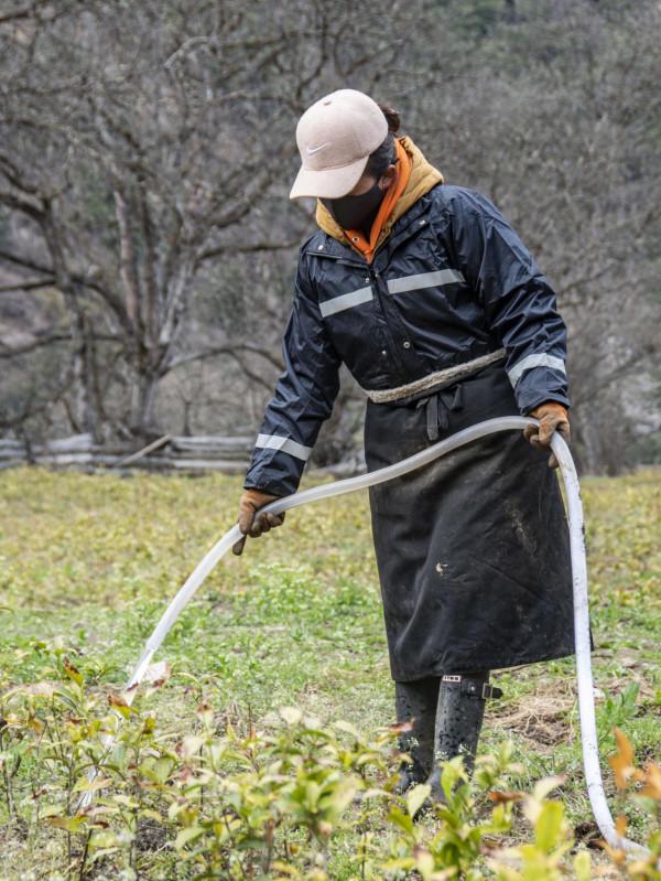 重走天路看變遷丨西藏波密：“藏王故里”看今昔