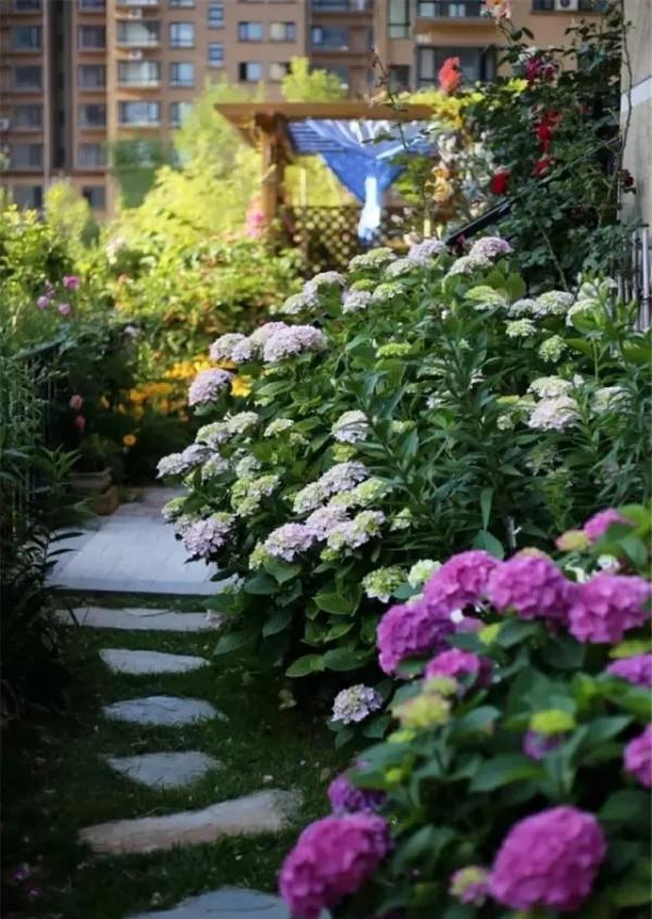 抓住5個關鍵點，確保陽臺盆栽順利過冬，來年盛開更旺更興盛