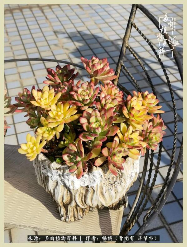 世間瞬息萬變，我們的友誼不變，閨蜜相聚，賞肉言歡