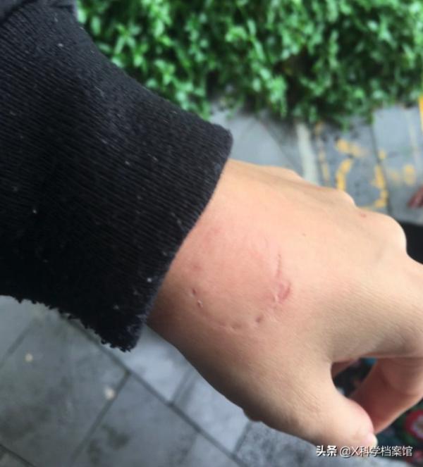 偷錢、殺人、綁架,印度猴子無惡不作,老百姓們為何拿它們沒辦法 偷錢、殺人、綁架,印度猴子無惡不作,老百姓們為何拿它們沒辦法