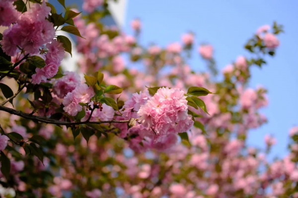 一年四季，這些“絕美”的瞬間你見到了嗎？